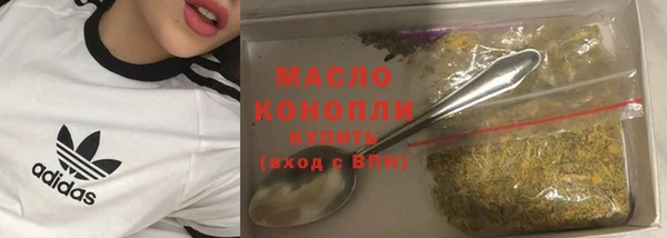 дмт Осташков