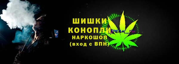 дмт Осташков