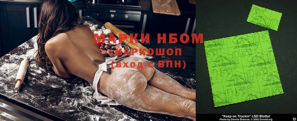 сатива Абинск