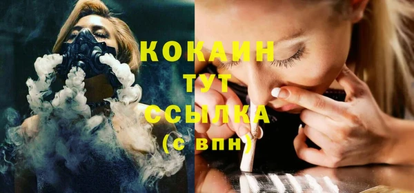 дмт Осташков