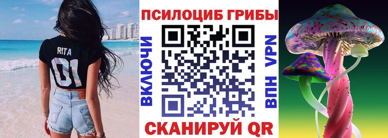 Псилоцибиновые грибы Cubensis  Элиста 