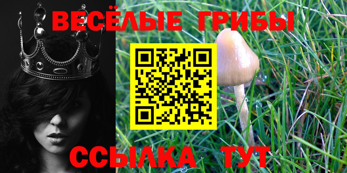 Псилоцибиновые грибы MAGIC MUSHROOMS  Галлюциногенные грибы GOLDEN TEACHER  Элиста  Вход с VPN 